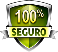 Site 100% Seguro